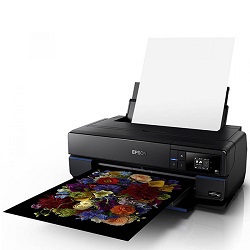 Epson SURECOLOR SC-P800 ROLL UNIT