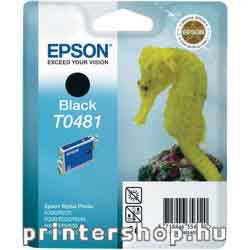 EPSON T0481