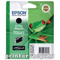 EPSON T0541 Ultra Chrome Hi-Gloss Photo