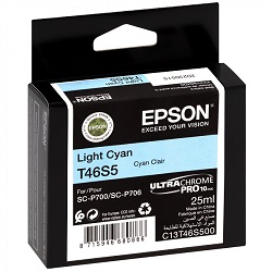 EPSON T46S5 UltraChrome Pro 10