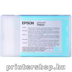EPSON T602500 Light