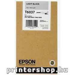EPSON T603700 Light