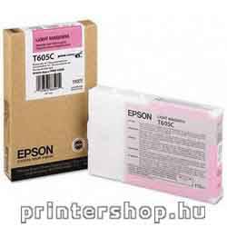 EPSON T605C00 Light